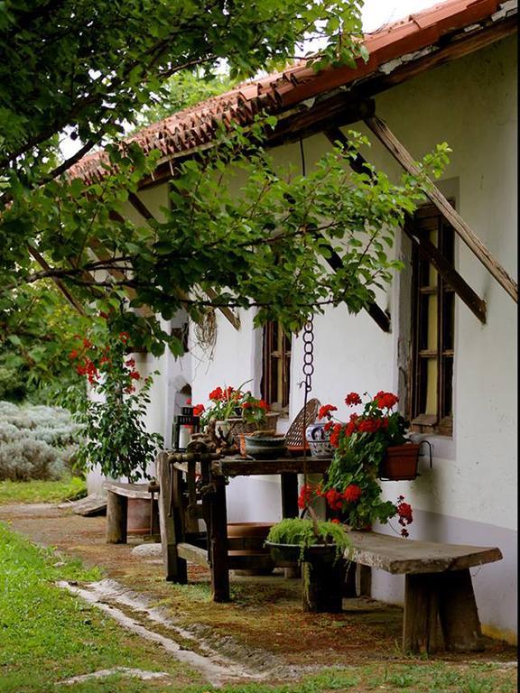 Agriturismo Viridarium Castellucchio Экстерьер фото