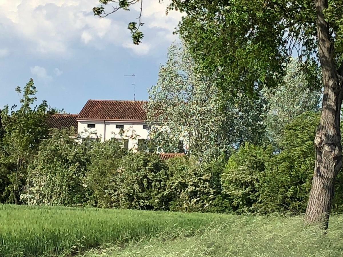 Agriturismo Viridarium Castellucchio Экстерьер фото